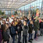 Kürbisausstellung_3