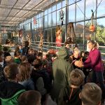 Kürbisausstellung_4