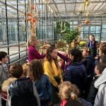 Kürbisausstellung_6